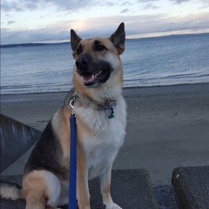 Meet your Posher, Becca